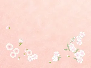五彩布纹 第六辑_9