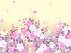 五彩布纹 第六辑_14
