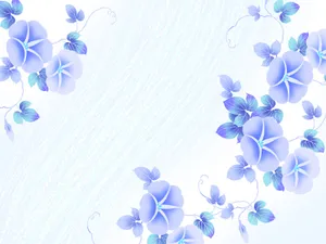 五彩布纹 第五辑