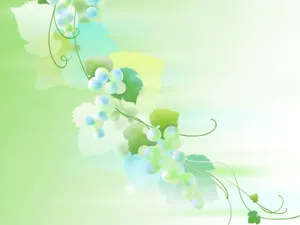 五彩布纹 第五辑_4