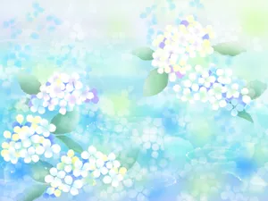 五彩布纹 第五辑_7