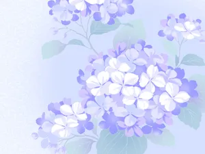 五彩布纹 第五辑_16