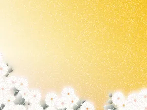 五彩布纹 第五辑_19