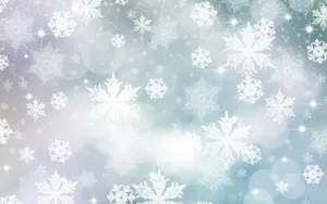 素雅雪花纹理背景壁纸_3