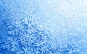 素雅雪花纹理背景壁纸_19