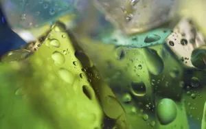 冰之派对:冰水凉凉_15