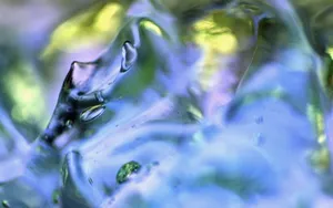 冰之派对:冰水凉凉_18