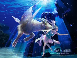 唯美十二星座_8