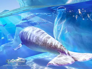 梦幻插画美景 第二辑_10