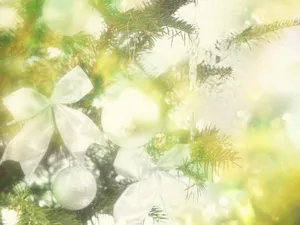 炫彩合成 第六辑_10
