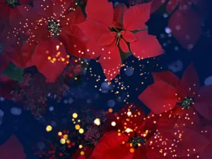 炫彩合成 第五辑_15