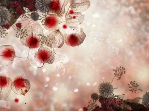 炫彩合成 第四辑_8