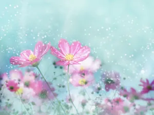 炫彩合成 第四辑_12