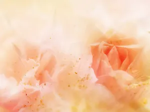 炫彩合成 第三辑_5