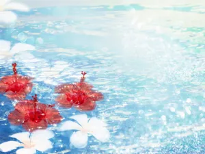 炫彩合成 第三辑_13