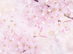 炫彩合成 第二辑_13
