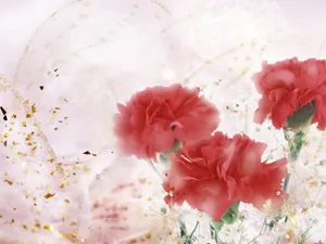 炫彩合成 第二辑_18