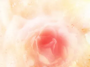 炫彩合成 第一辑_2