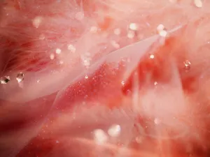 炫彩合成 第一辑_4