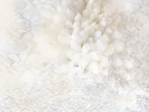 炫彩合成 第一辑_13