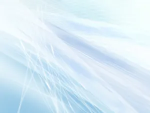 五彩图案 第四辑_4