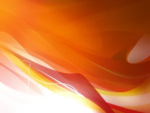 AdobeCS3 第一辑_11
