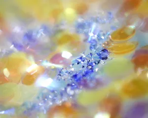 炫彩水晶 第三辑_7