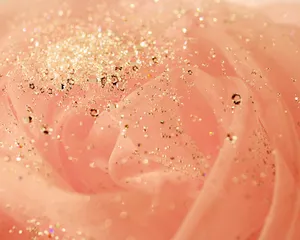 炫彩水晶 第二辑第1张
