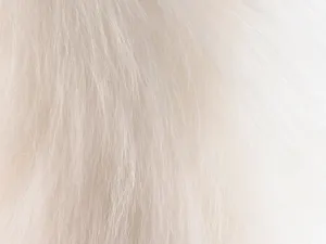 材质背景 第一辑_12