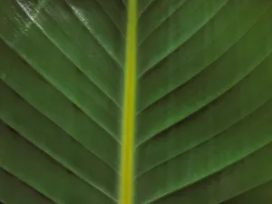 材质背景 第一辑_14