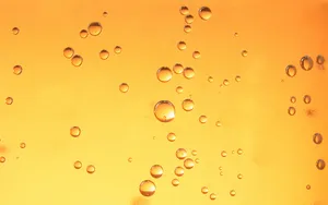 宽屏水的韵律 第二辑_13