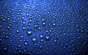 宽屏水的韵律 第一辑_19