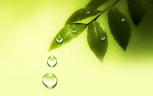 动感水珠 第一辑