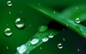 动感水珠 第一辑_3