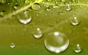 动感水珠 第一辑_7