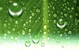 动感水珠 第一辑_13