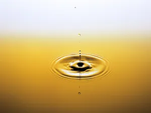 水的韵律 第八辑_8