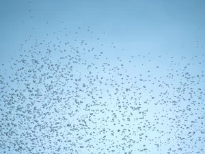 水的韵律 第三辑_11