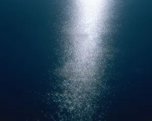 水的韵律 第一辑_3