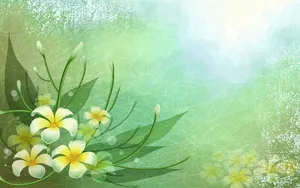 炫彩花卉合成 第二辑_10