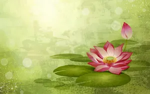 炫彩花卉合成 第一辑