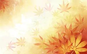 炫彩花卉合成 第一辑