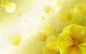 炫彩花卉合成 第一辑_2