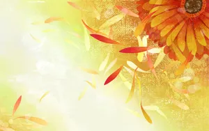 炫彩花卉合成 第一辑_8