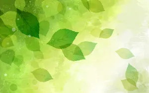 炫彩花卉合成 第一辑_12