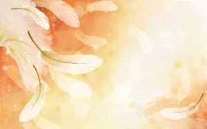 炫彩花卉合成 第一辑_16