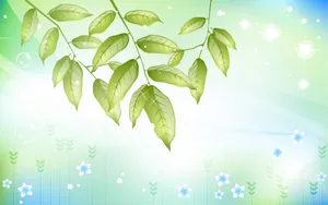 炫彩花纹 第十辑