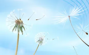 炫彩花纹 第九辑_10