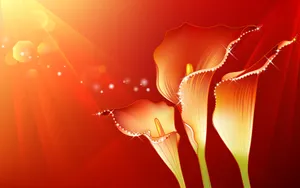 炫彩花纹 第八辑