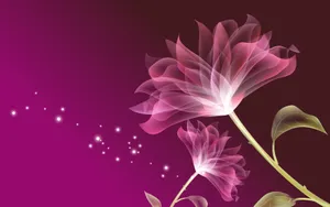 炫彩花纹 第八辑_18